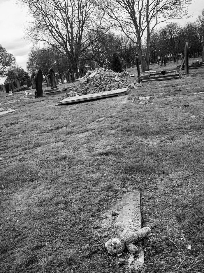 From the Cradle to the Grave Adrian Scott